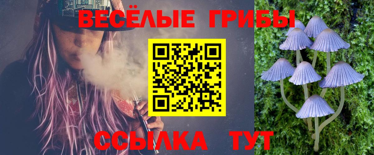 Зерноград  Галлюциногенные грибы мицелий  Галлюциногенные грибы GOLDEN TEACHER  Вход с VPN 