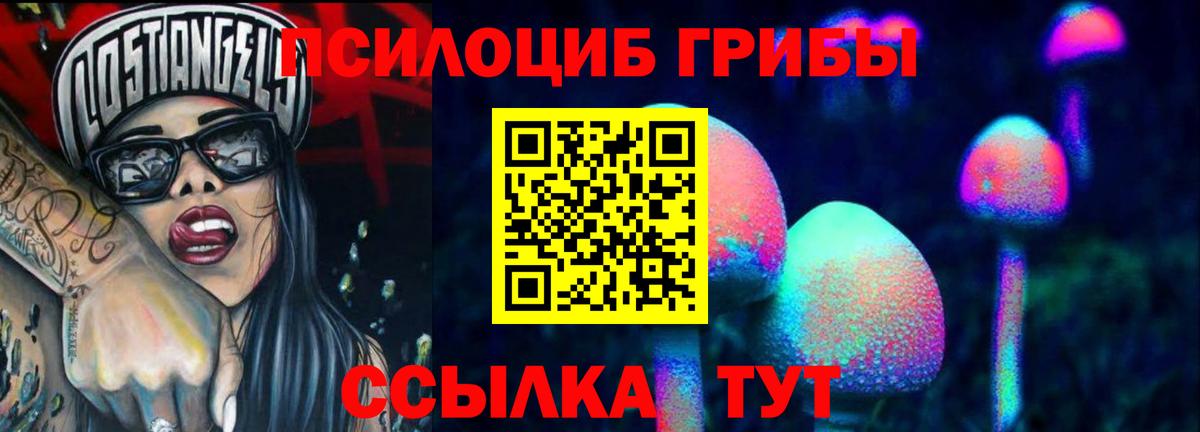 Галлюциногенные грибы мицелий Зерноград